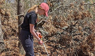 格蕾丝·利奥波德在树林里放置粘土蝾螈时使用卷尺.