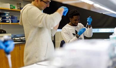 两个学生在生物实验室里使用移液管.