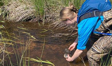凯拉·基思在湿地进行实地研究时处理一只乌龟.